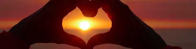 Learning to Love