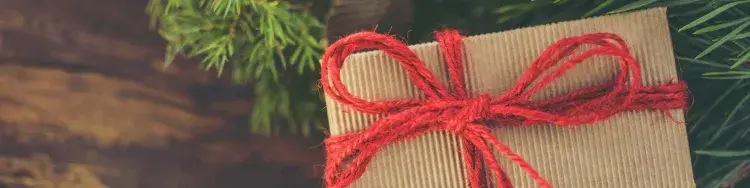 un regalo debajo del arbol