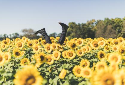 Buscando la Felicidad