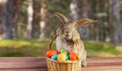 El Conejo de Pascua y Jesús